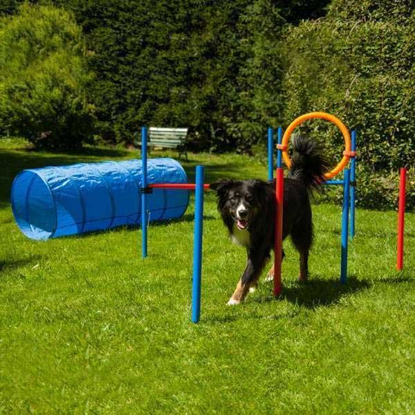 Dog Agility Set K2 PRO Agility &amp; Training McZoo.de